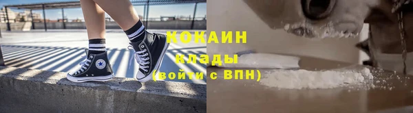 ешки Аркадак